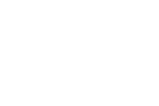 Spinazze-19.png